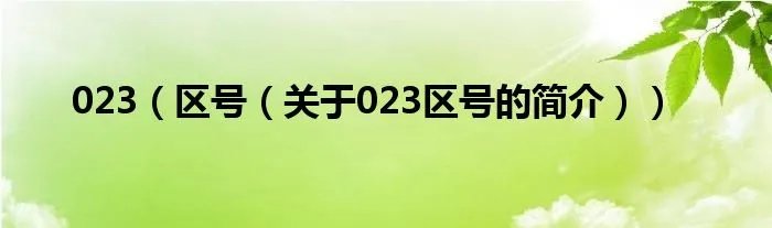 023（区号（关于023区号的简介））