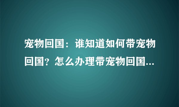 宠物回国：谁知道如何带宠物回国？怎么办理带宠物回国的手续的？