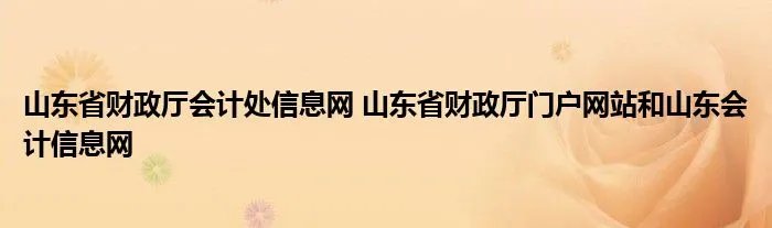 山东省财政厅会计处信息网 山东省财政厅门户网站和山东会计信息网