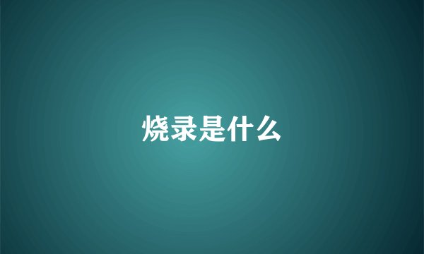 烧录是什么