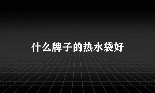 什么牌子的热水袋好