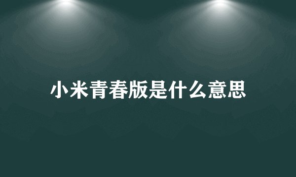 小米青春版是什么意思