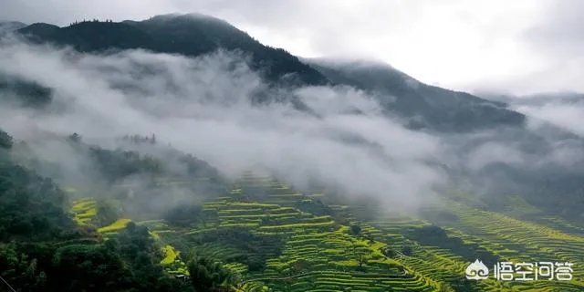 你对江西婺源景区强收卫生费怎么看?