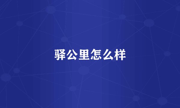 驿公里怎么样