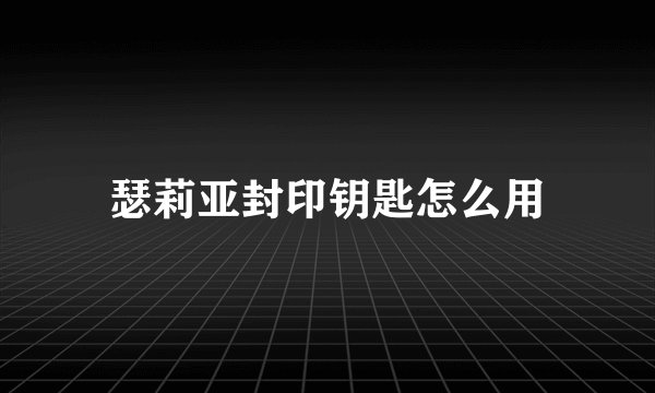瑟莉亚封印钥匙怎么用