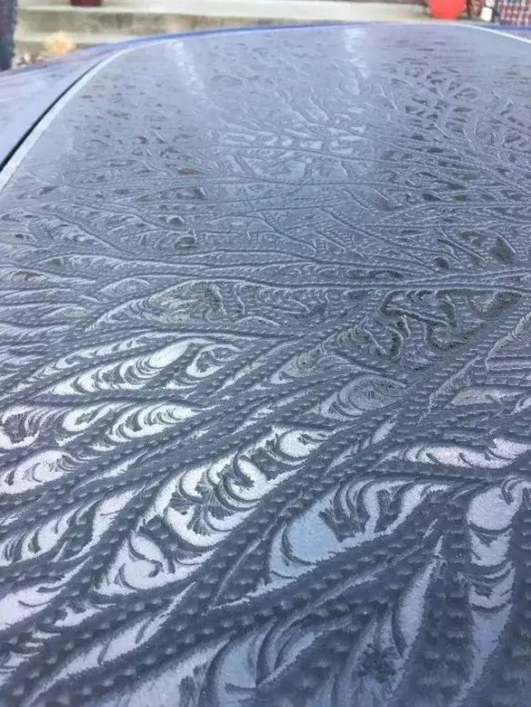 热带雨林惊现鲸鱼尸骨!27张千年一遇的神奇巧合照片