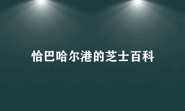 恰巴哈尔港的芝士百科