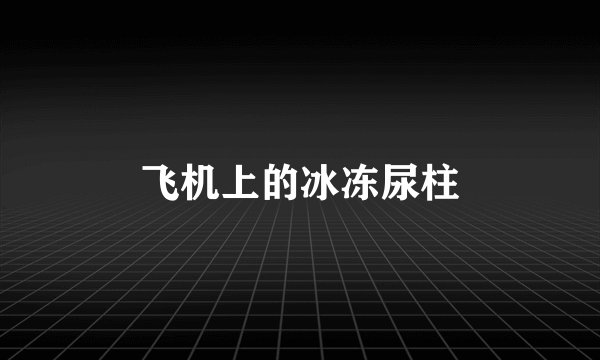 飞机上的冰冻尿柱