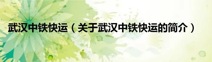 武汉中铁快运（关于武汉中铁快运的简介）