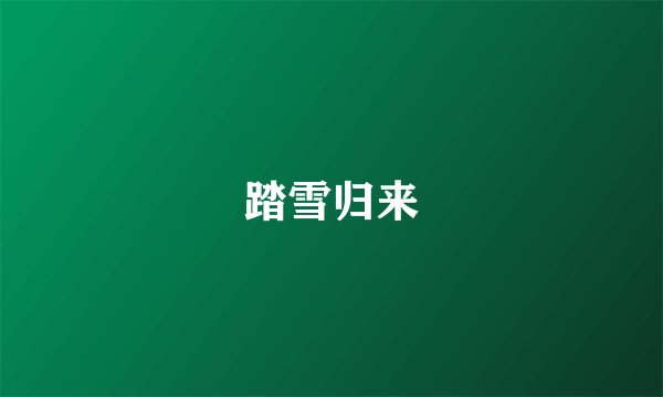 踏雪归来