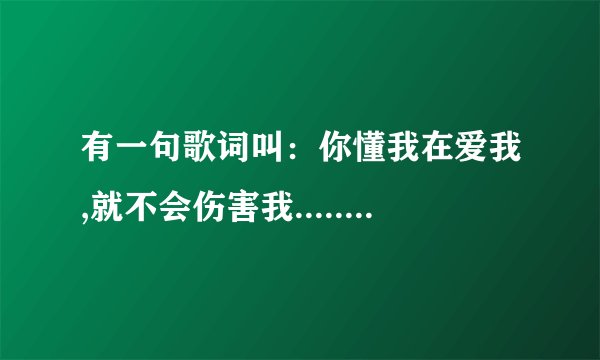 有一句歌词叫：你懂我在爱我,就不会伤害我......是什么歌