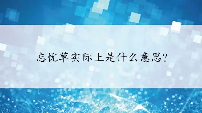 忘忧草实际上是什么意思?