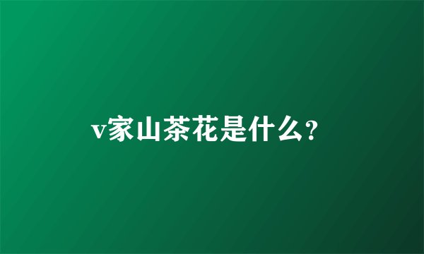 v家山茶花是什么?