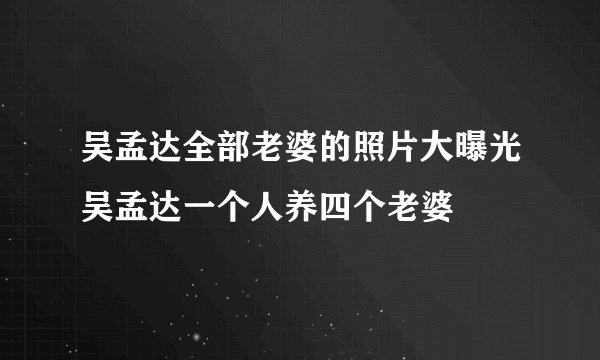 吴孟达全部老婆的照片大曝光吴孟达一个人养四个老婆