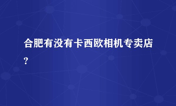 合肥有没有卡西欧相机专卖店?