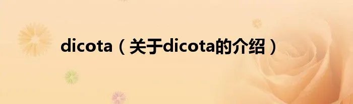 dicota(关于dicota的介绍)
