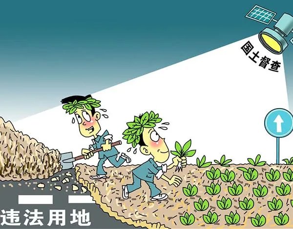 自由土地的国家简介