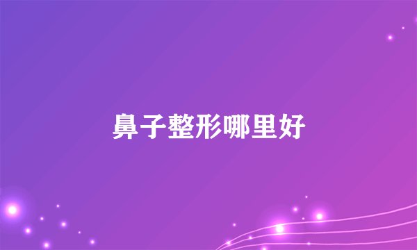 鼻子整形哪里好