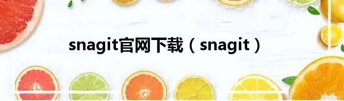 snagit官网下载（snagit）
