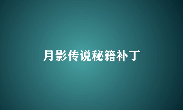 月影传说秘籍补丁