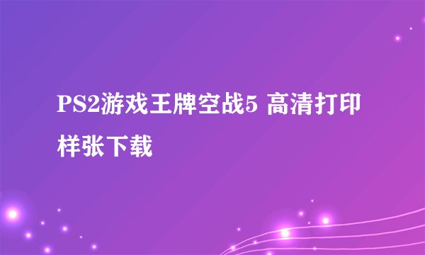 PS2游戏王牌空战5 高清打印样张下载
