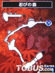 NDS《忍者龙剑传：龙剑》图文流程攻略