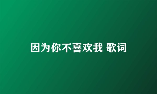 因为你不喜欢我 歌词