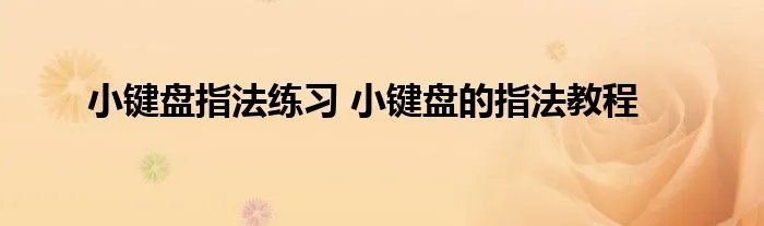 小键盘指法练习 小键盘的指法教程
