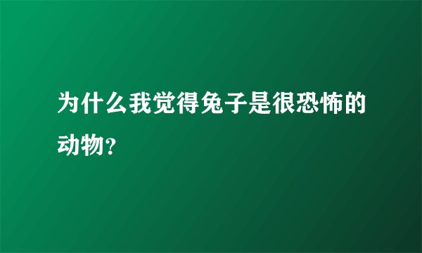 为什么我觉得兔子是很恐怖的动物?