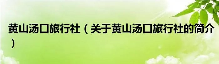 黄山汤口旅行社（关于黄山汤口旅行社的简介）