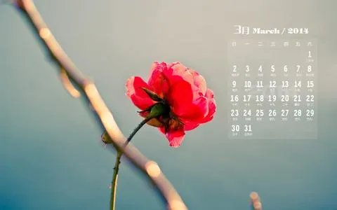 2014年3月日历壁纸|2014年3月日历壁纸桌面
