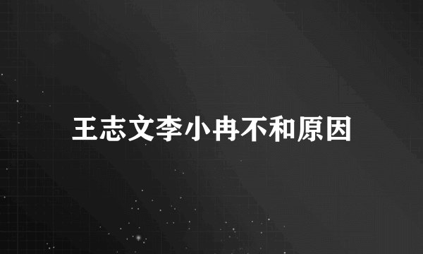 王志文李小冉不和原因