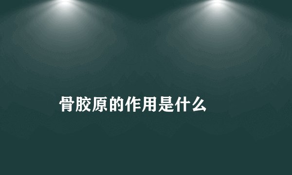 
    骨胶原的作用是什么
  