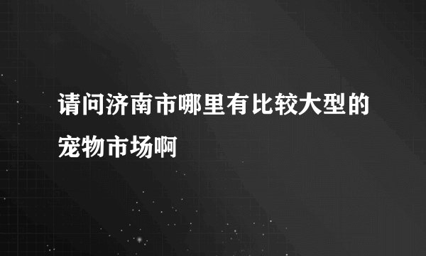 请问济南市哪里有比较大型的宠物市场啊