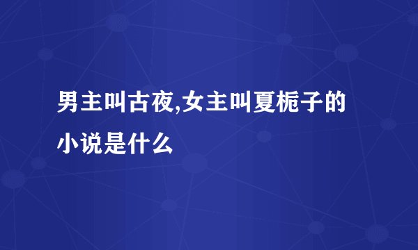 男主叫古夜,女主叫夏栀子的小说是什么