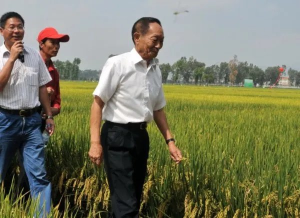 袁隆平又定了两个小目标,分别是什么?