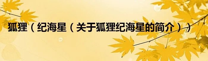 狐狸（纪海星（关于狐狸纪海星的简介））