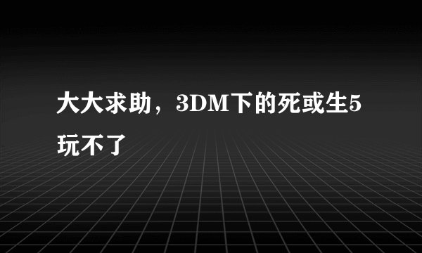 大大求助，3DM下的死或生5玩不了