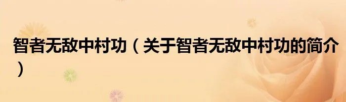 智者无敌中村功（关于智者无敌中村功的简介）