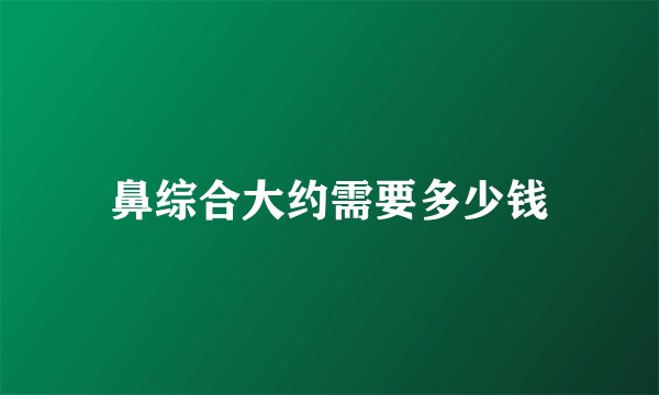 鼻综合大约需要多少钱