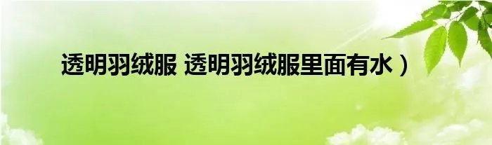 透明羽绒服 透明羽绒服里面有水)
