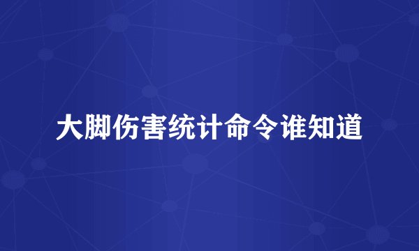 大脚伤害统计命令谁知道