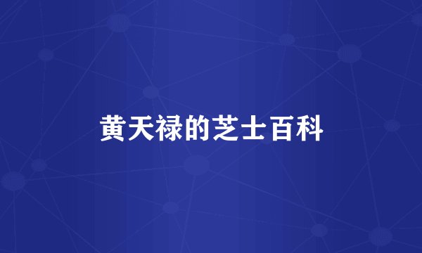 黄天禄的芝士百科