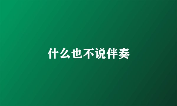 什么也不说伴奏
