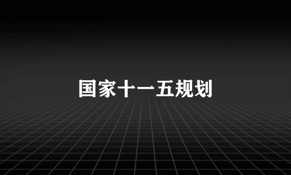 国家十一五规划