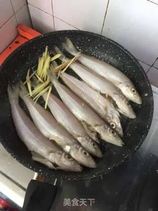 沙丁鱼