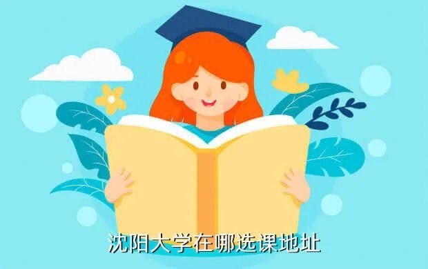 沈大教务网,沈大教务网只能在学校选课吗