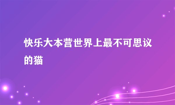 快乐大本营世界上最不可思议的猫