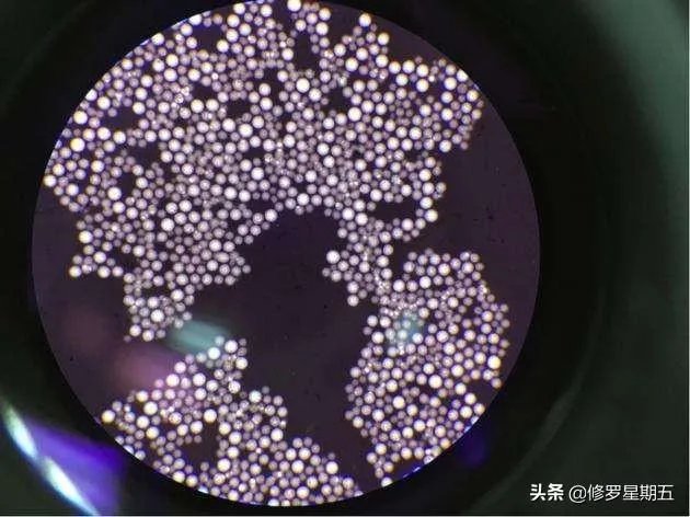 地球演化中有哪些超乎人想象的现象?