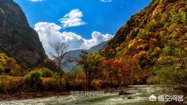 甘孜州丹巴县的特产是什么```?